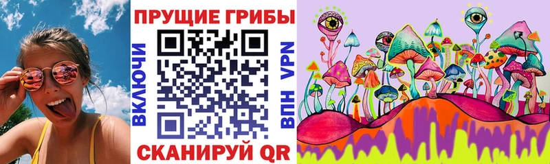 Галлюциногенные грибы GOLDEN TEACHER  shop как зайти  Биробиджан  купить наркотики сайты 